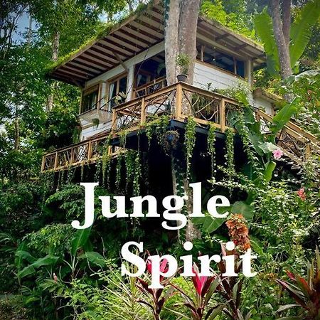Vila Jungle Spirit Treehouse Cahuita Exteriér fotografie