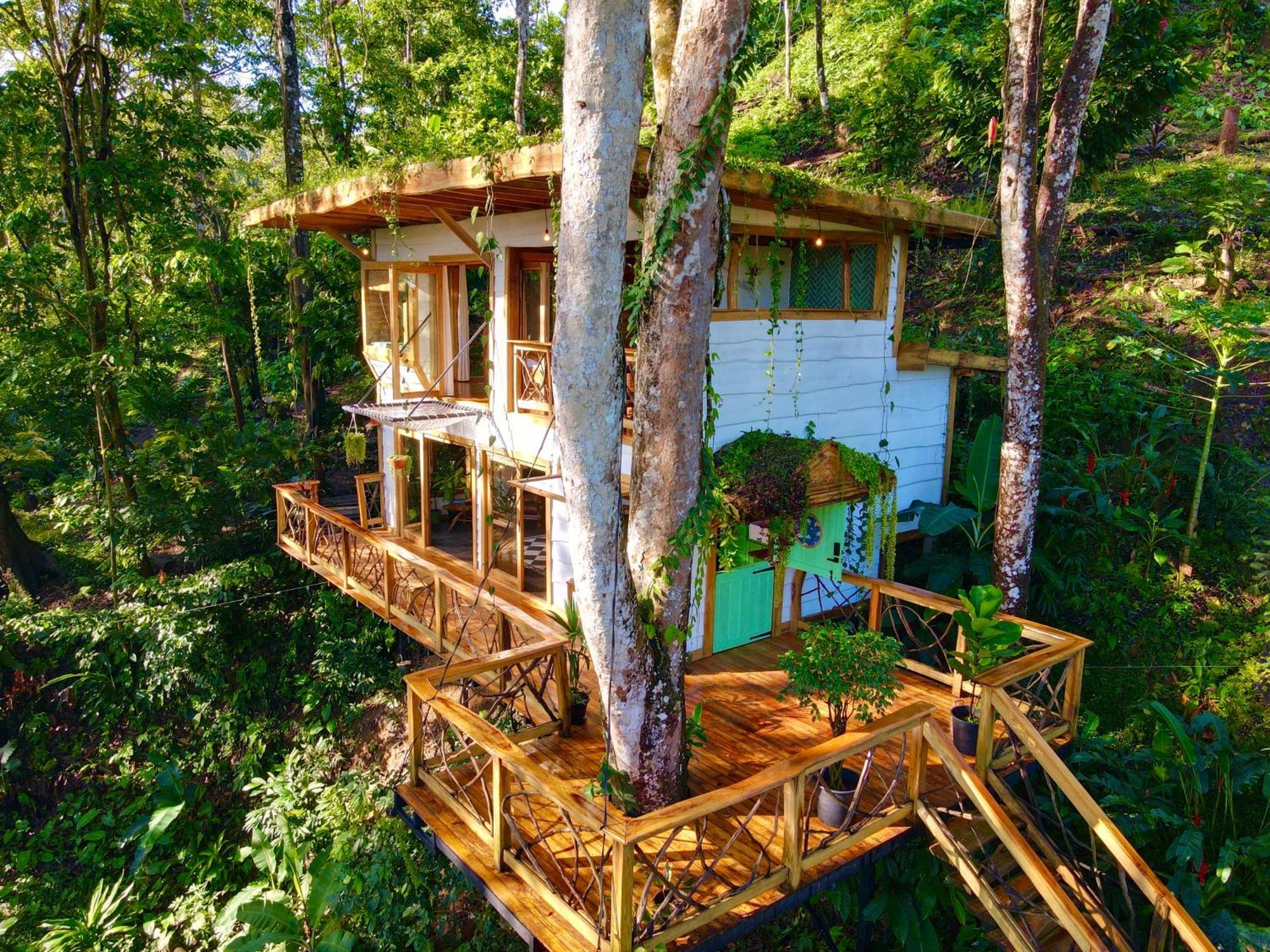 Vila Jungle Spirit Treehouse Cahuita Exteriér fotografie