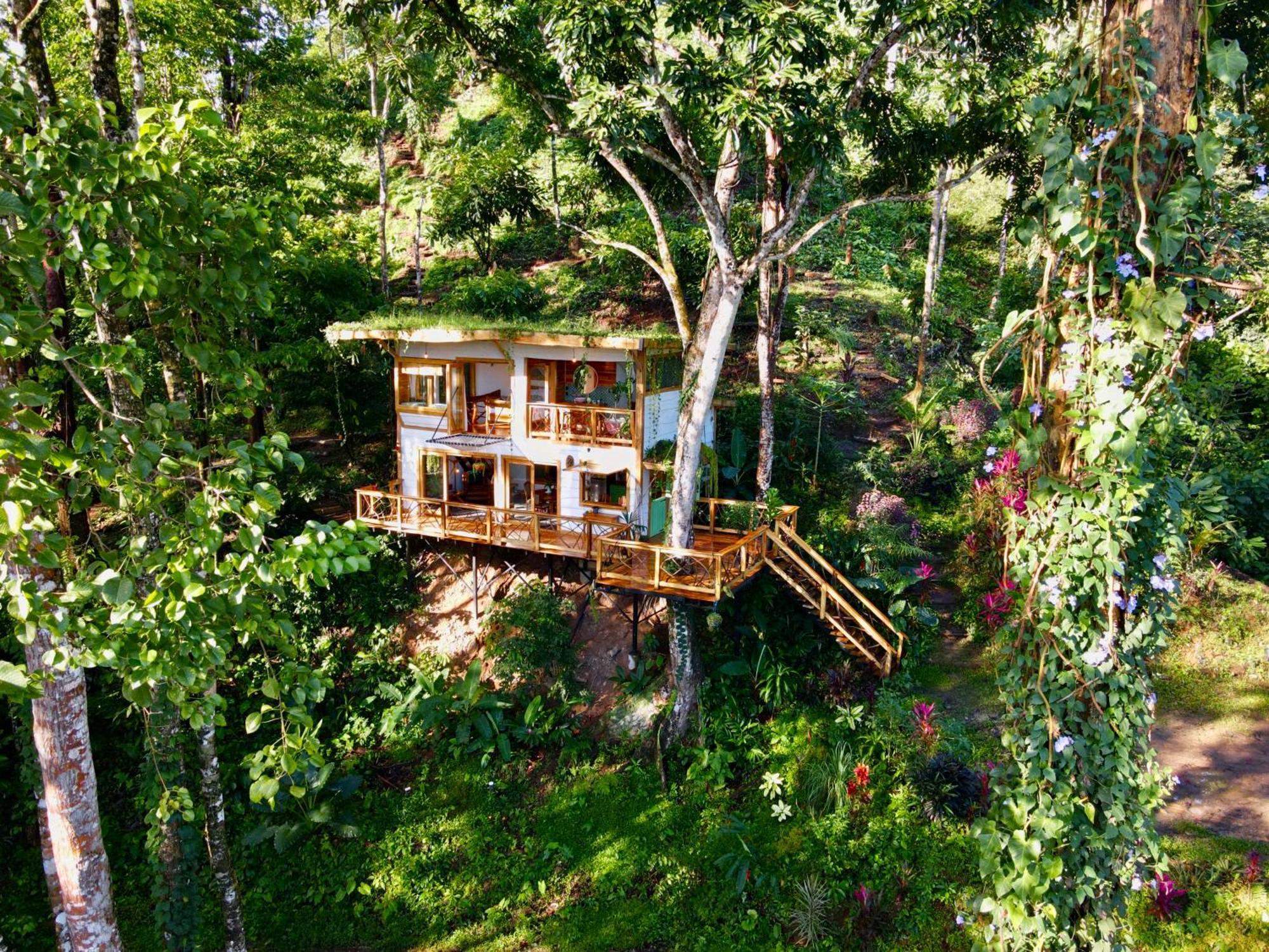 Vila Jungle Spirit Treehouse Cahuita Exteriér fotografie