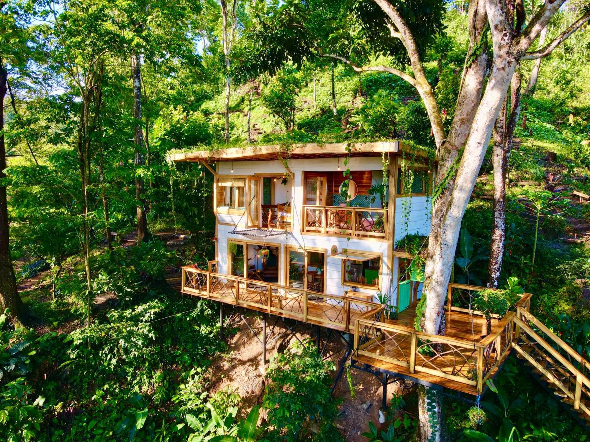 Vila Jungle Spirit Treehouse Cahuita Exteriér fotografie