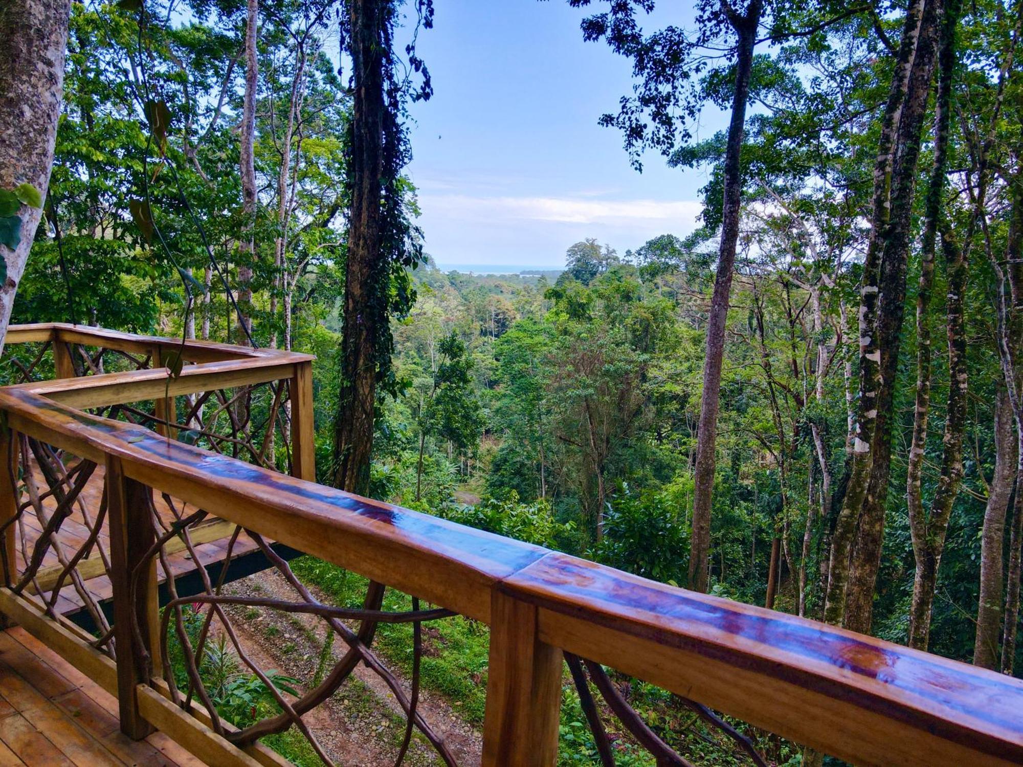 Vila Jungle Spirit Treehouse Cahuita Exteriér fotografie