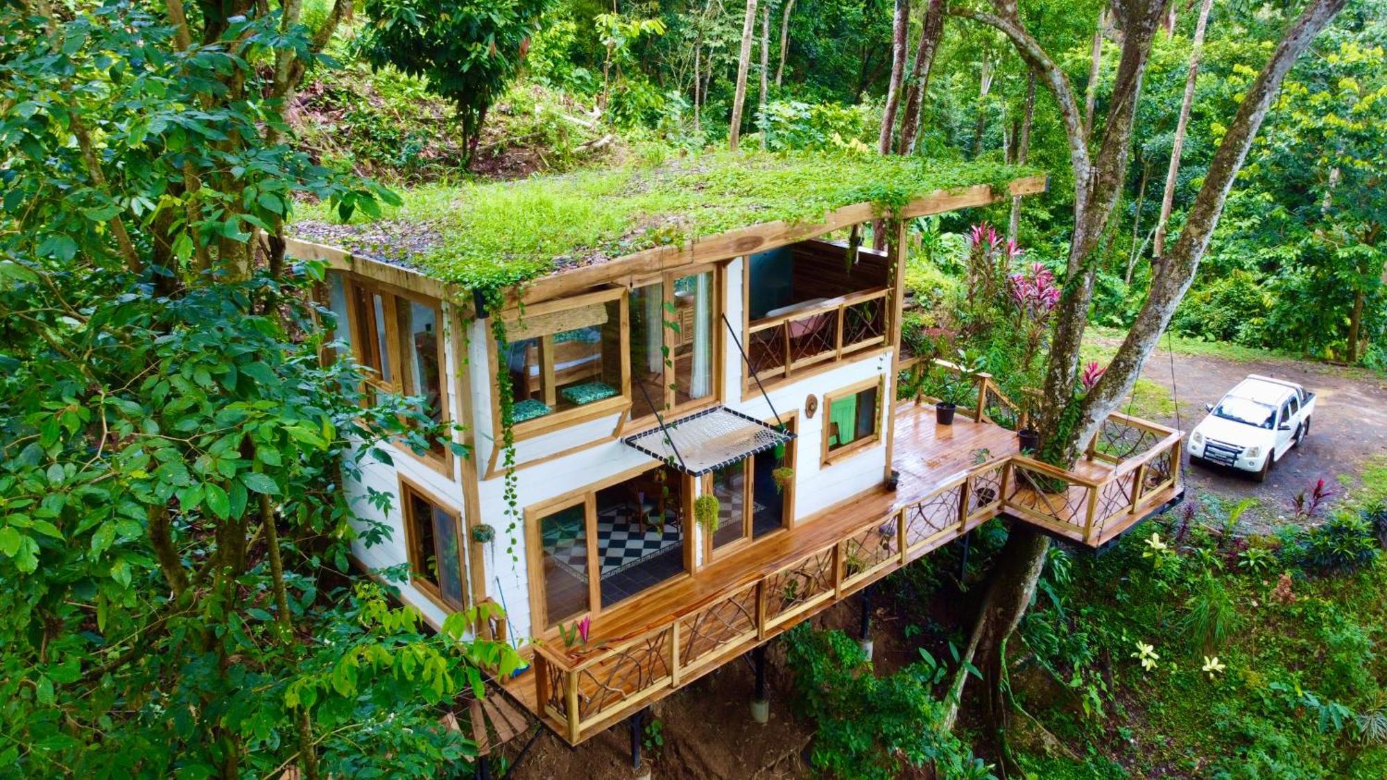 Vila Jungle Spirit Treehouse Cahuita Exteriér fotografie