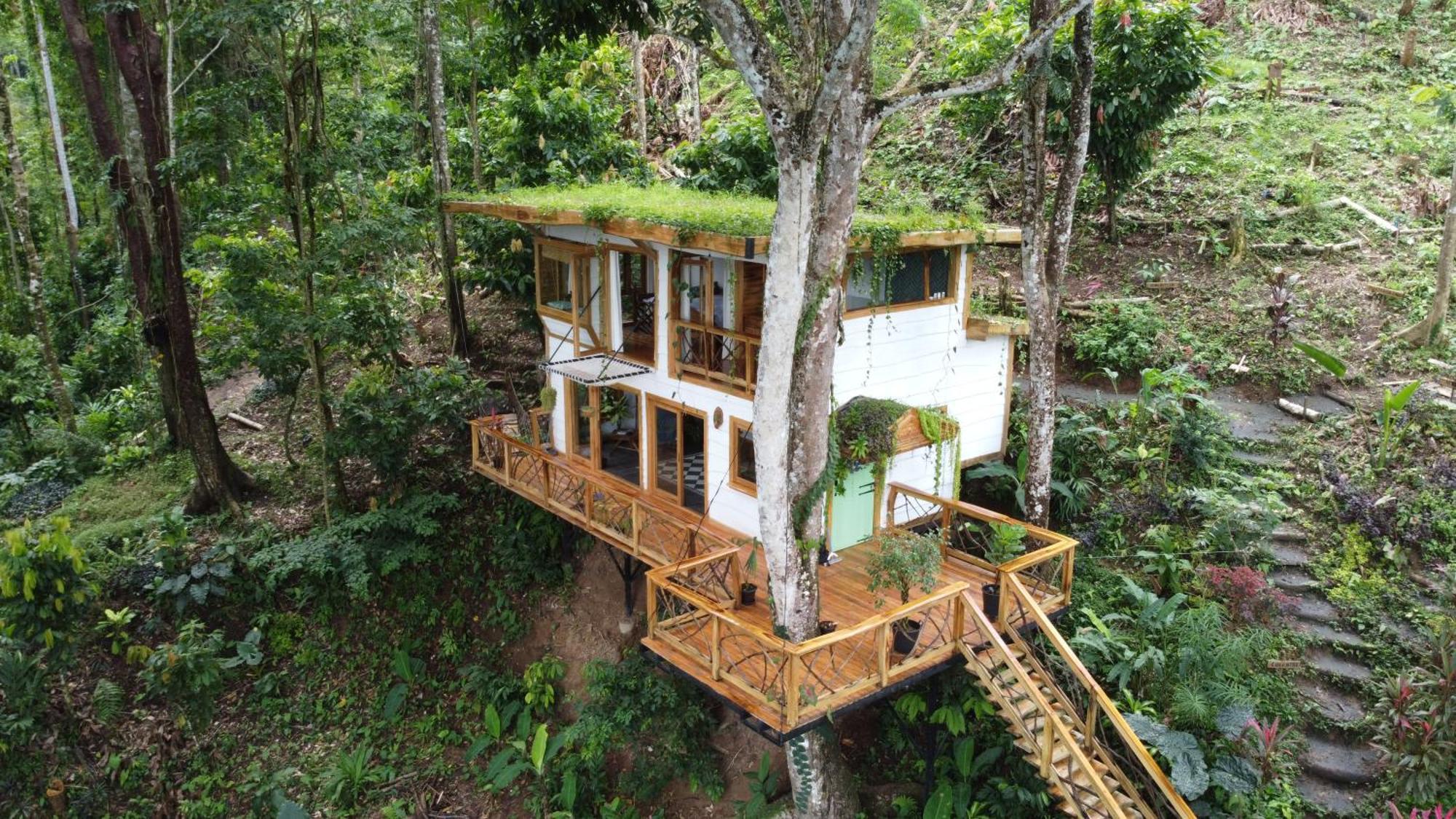 Vila Jungle Spirit Treehouse Cahuita Exteriér fotografie