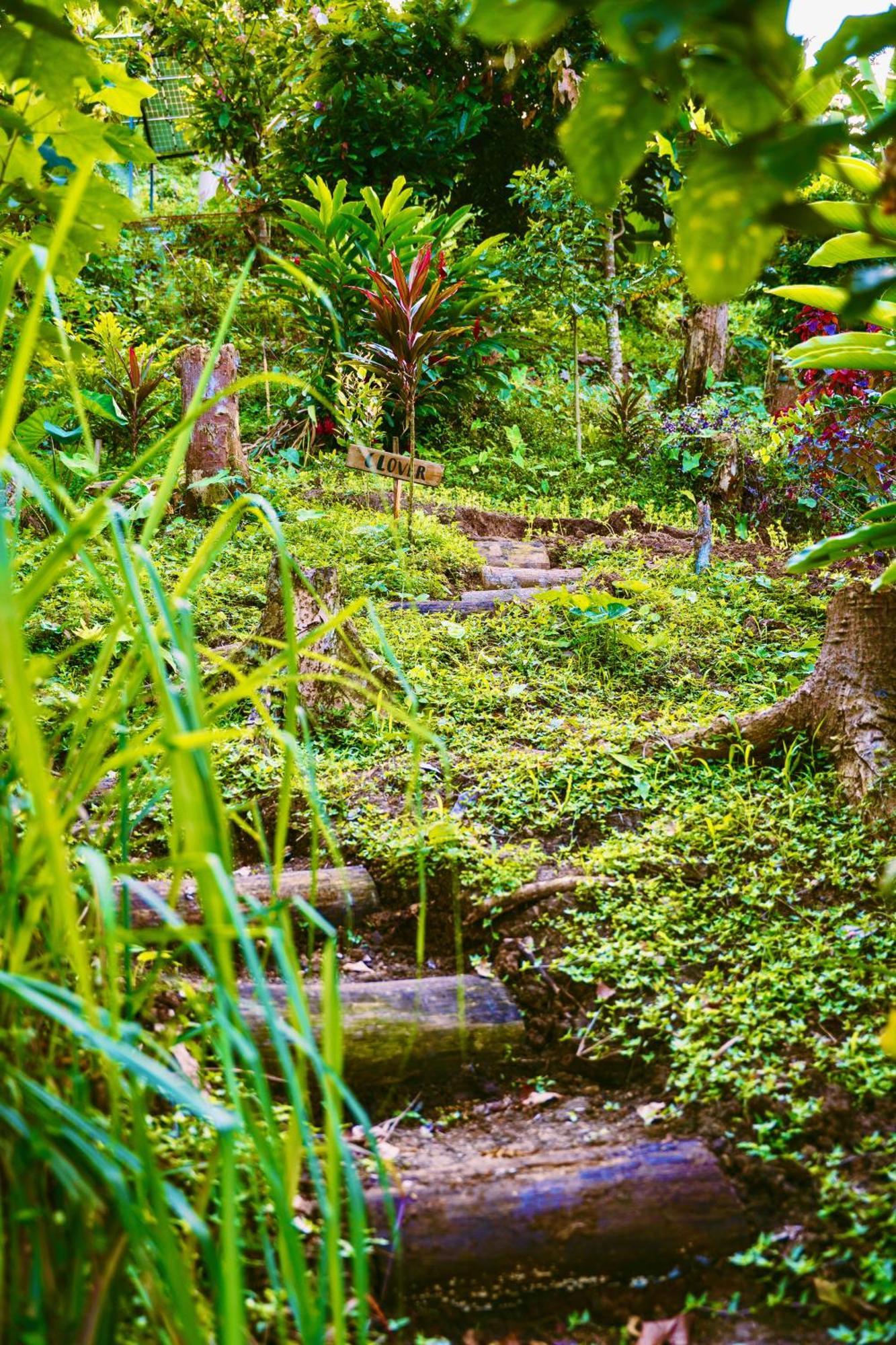 Vila Jungle Spirit Treehouse Cahuita Exteriér fotografie