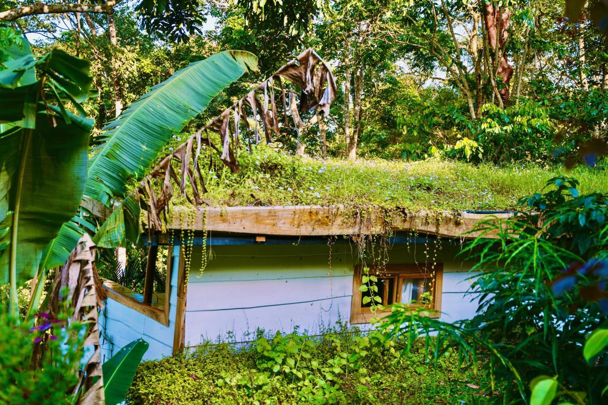 Vila Jungle Spirit Treehouse Cahuita Exteriér fotografie