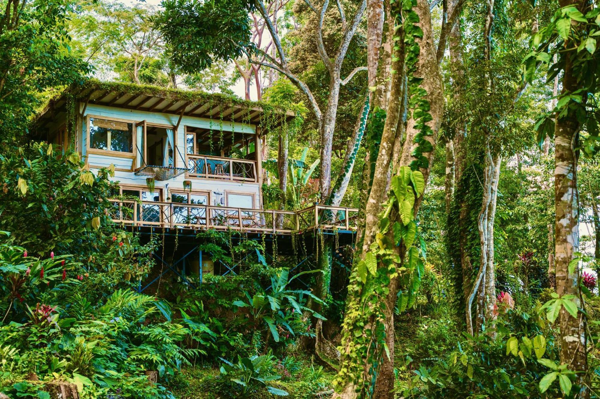 Vila Jungle Spirit Treehouse Cahuita Exteriér fotografie