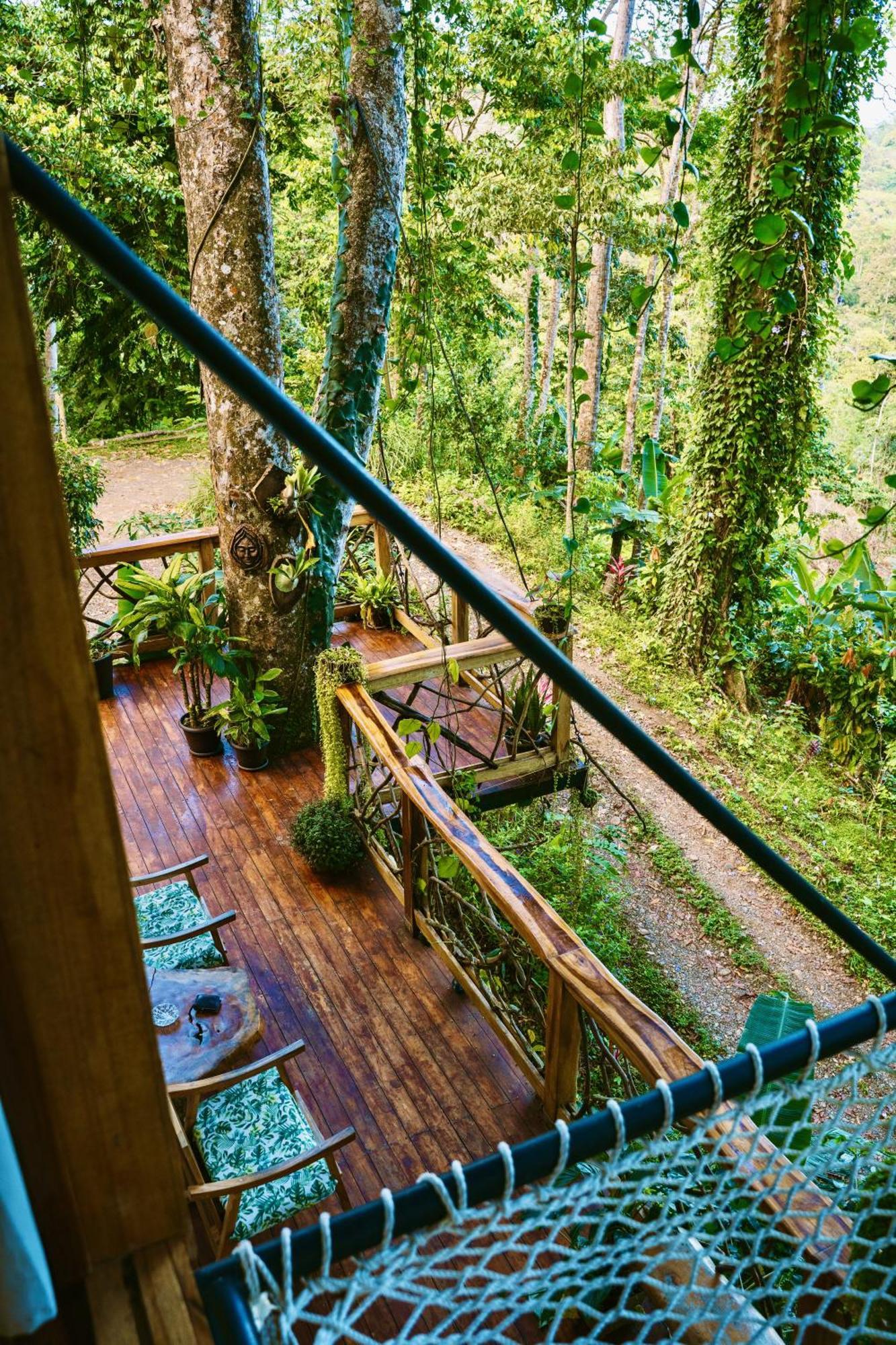 Vila Jungle Spirit Treehouse Cahuita Exteriér fotografie