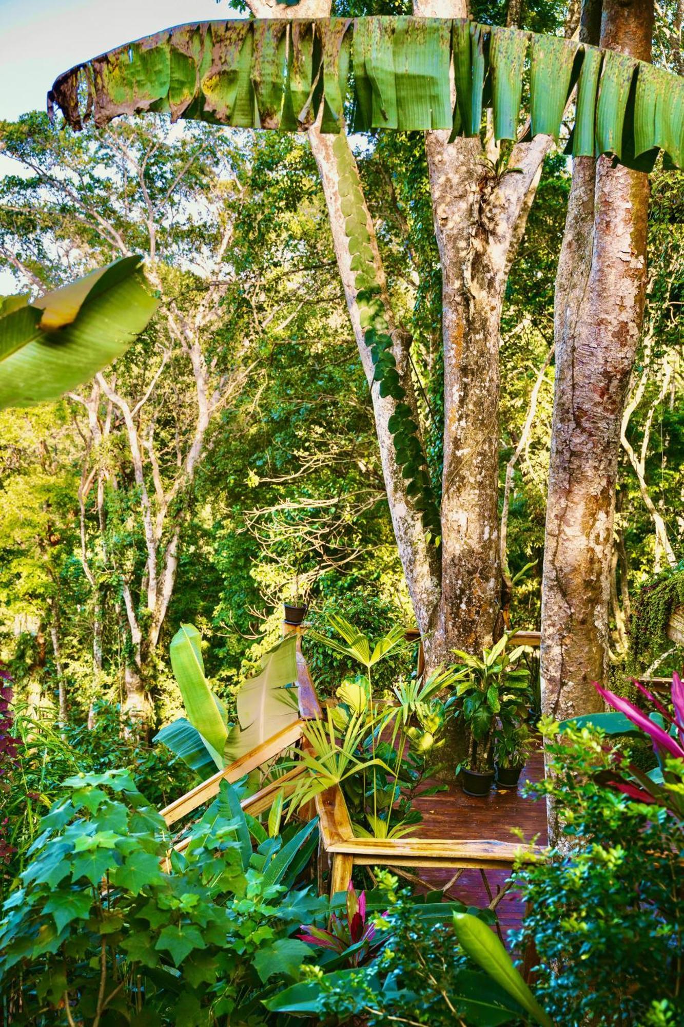 Vila Jungle Spirit Treehouse Cahuita Exteriér fotografie