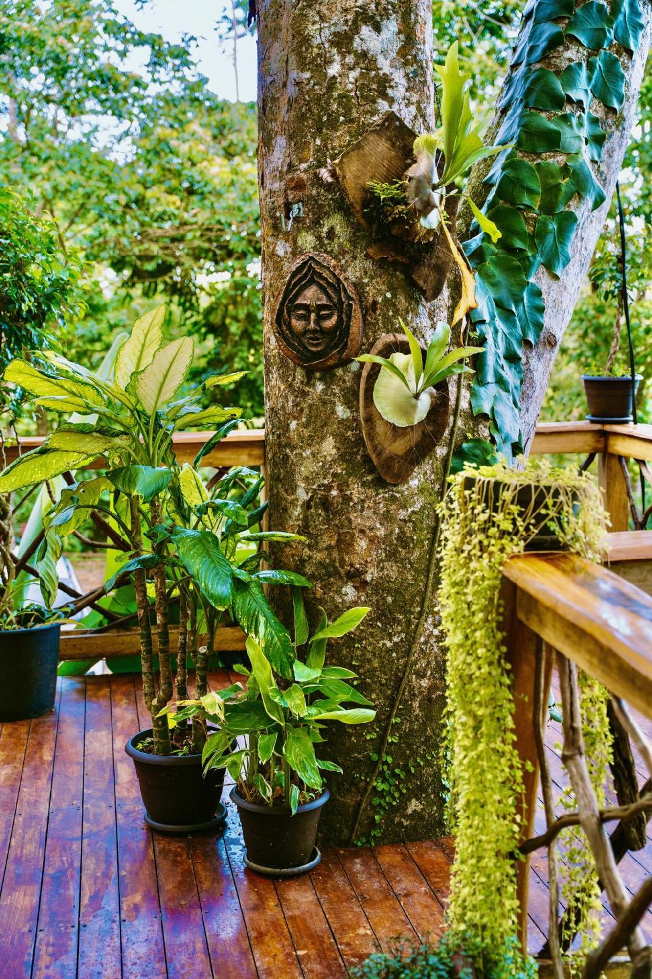 Vila Jungle Spirit Treehouse Cahuita Exteriér fotografie