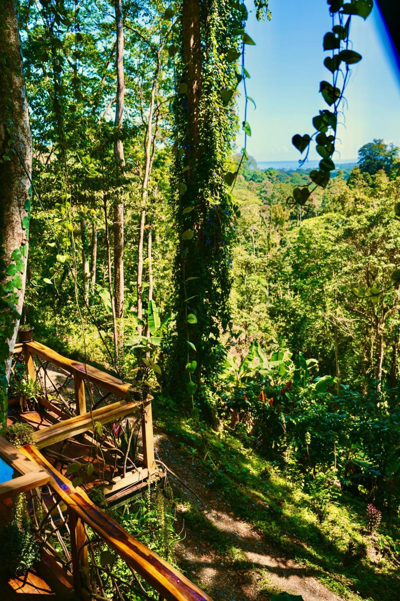 Vila Jungle Spirit Treehouse Cahuita Exteriér fotografie