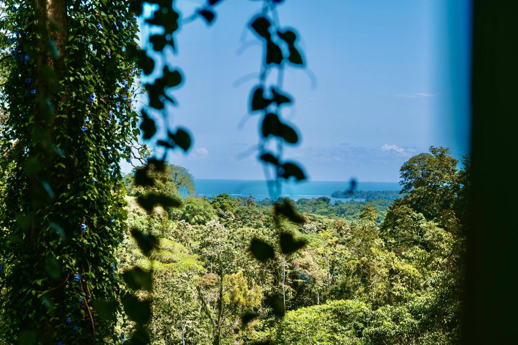 Vila Jungle Spirit Treehouse Cahuita Exteriér fotografie